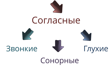 Какие звуки речи ты знаешь чем различаются. Смотреть фото Какие звуки речи ты знаешь чем различаются. Смотреть картинку Какие звуки речи ты знаешь чем различаются. Картинка про Какие звуки речи ты знаешь чем различаются. Фото Какие звуки речи ты знаешь чем различаются