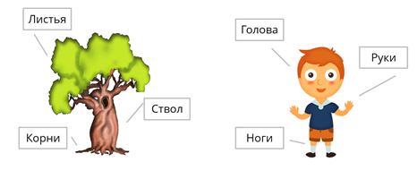 Что изучает морфемика 5 класс