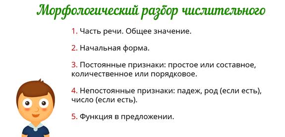 Образец морфологического разбора числительного 6 класс образец