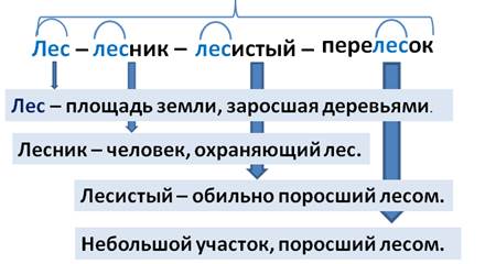 5 класс морфемы презентация