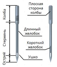 Перед вами схема машинной иглы