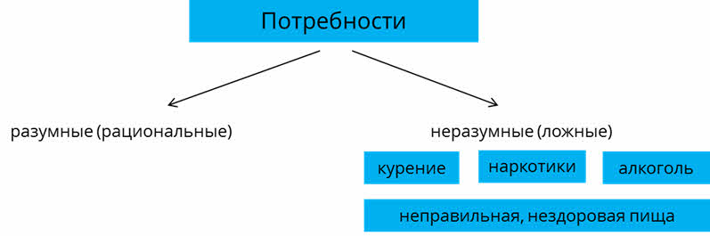 Потребности разумные и неразумные проект 6 класс